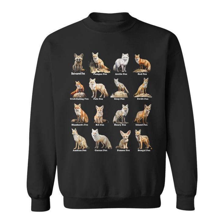 Foxes Of The World Fox Animals Educational Sweatshirt