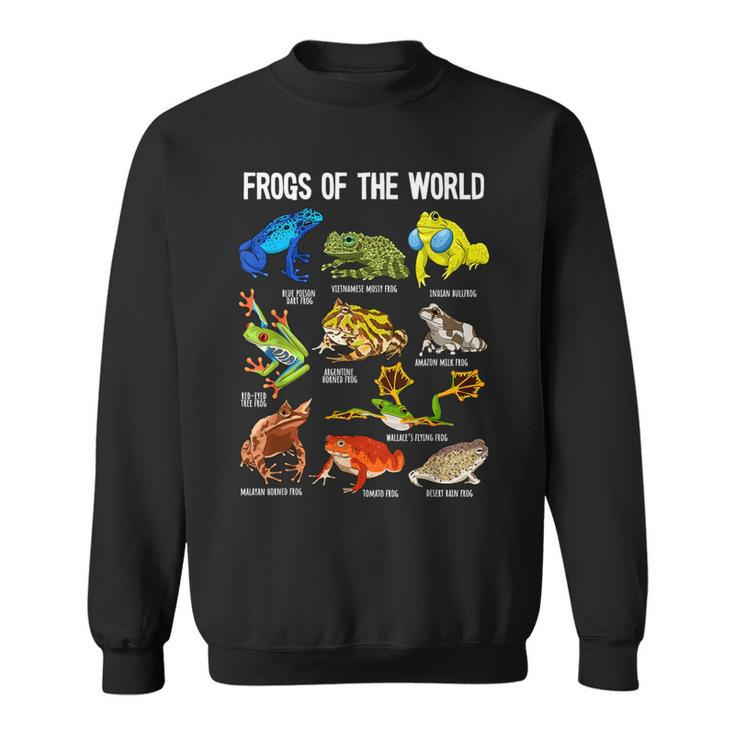 Frog Lover Types Of Frogs Frog Catcher Herpetology Frog Sweatshirt