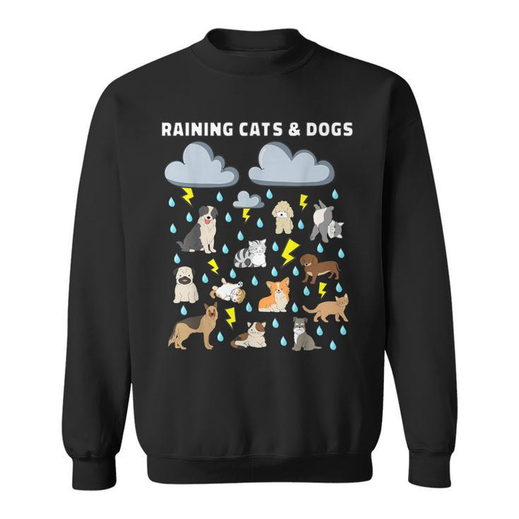 English Idiom Raining Cats And Dogs Puppies Kitten Sweatshirt