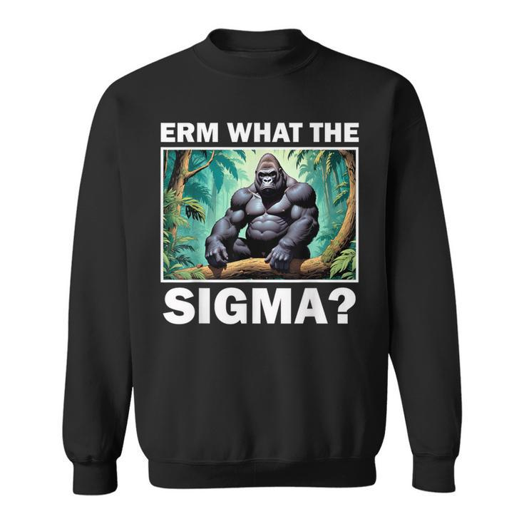 Erm What The Sigma Ironic Meme Brainrot Quote Sweatshirt