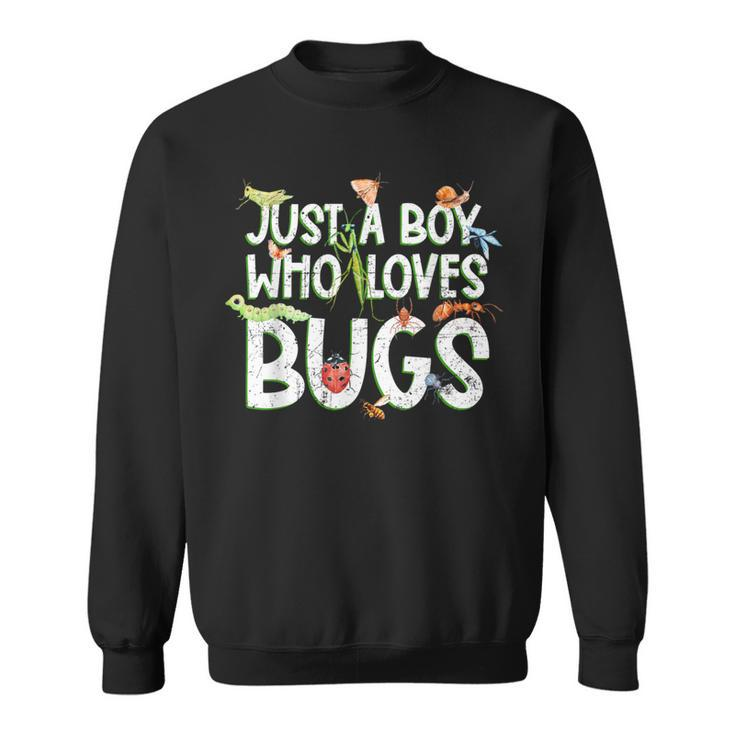 Insect Just A Boy Who Loves Bugs Boys Bug Sweatshirt
