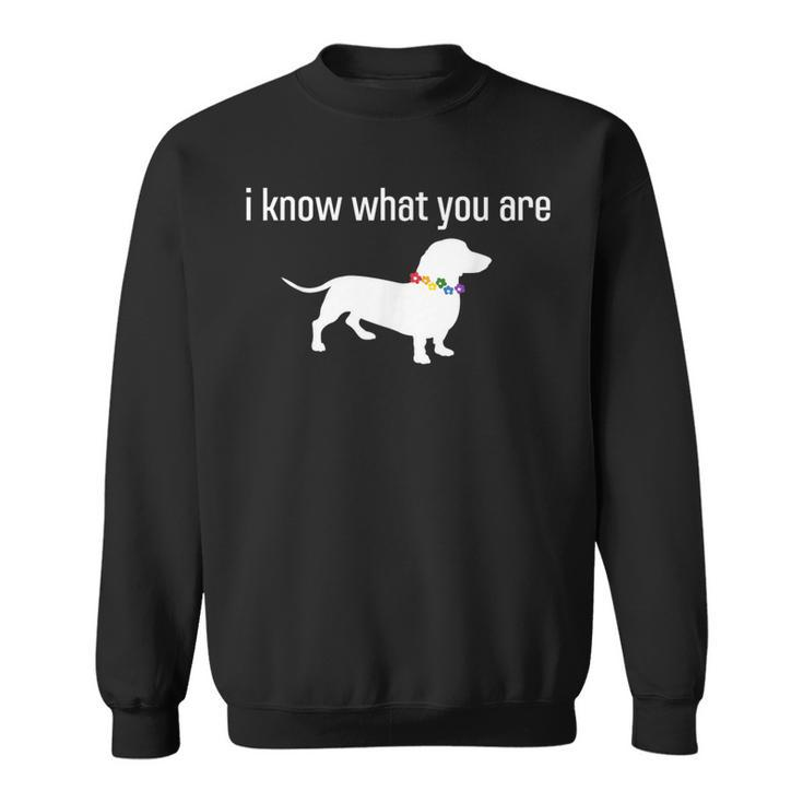 Quote Meme I Know What You Are Homophobic Dog Gay Lgbt Sweatshirt