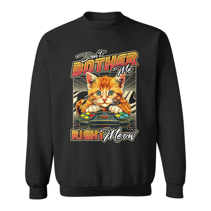 Gamer Cat Gaming Boys Video Game & Cat Lover Sweatshirt