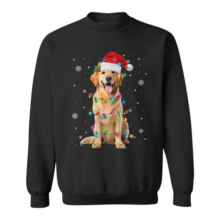 Golden Retriever Christmas Santa Hat Xmas Lights Dog Lover Sweatshirt