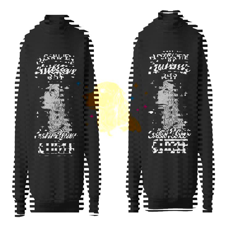 Golden Retriever Glitter Dog Holder Dog Owners Sweatshirt