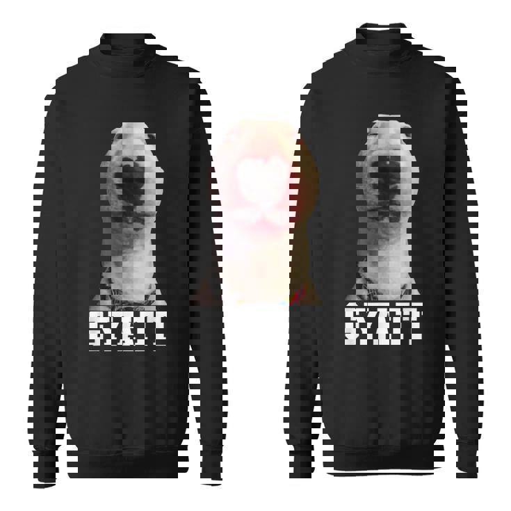 Gyatt Meme Damn Cringe Gyatt Sweatshirt