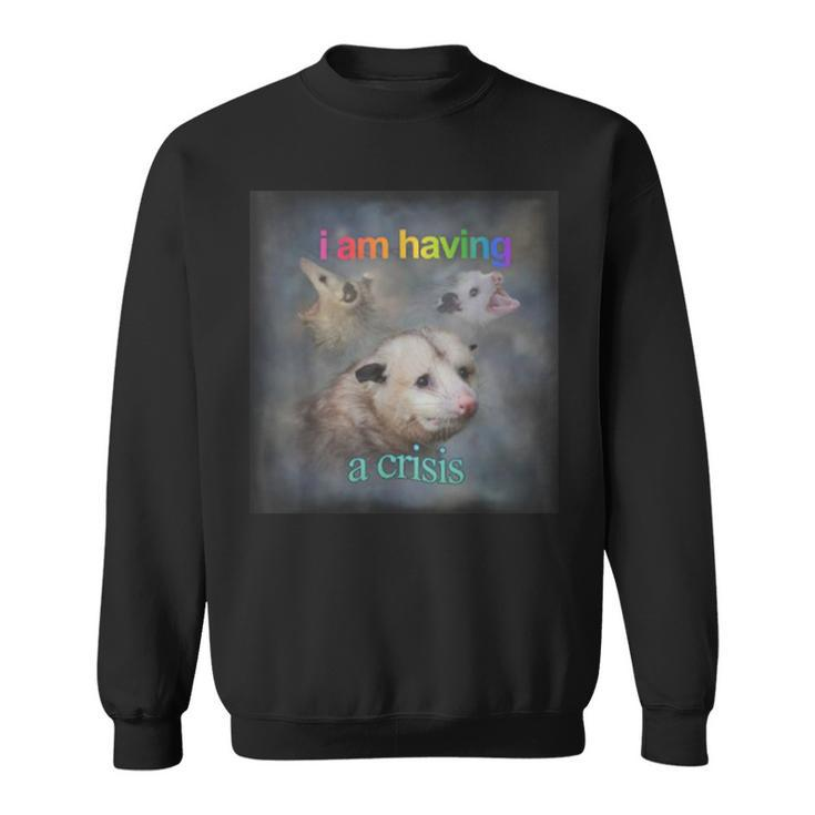 I Am Having A Crisis Possum Sweatshirt