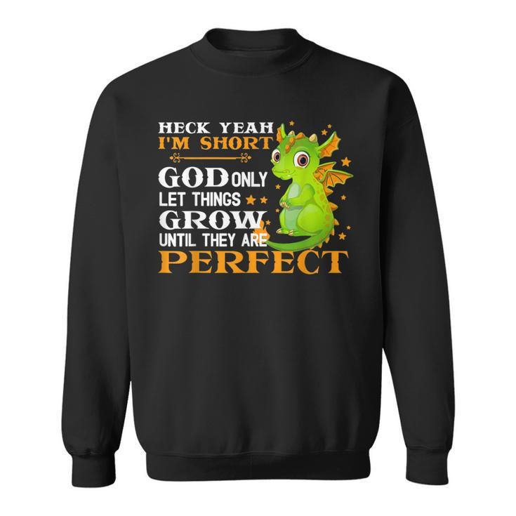 Heck Yeah I'm Short God Only Let Things Grow Cute Dragon Sweatshirt