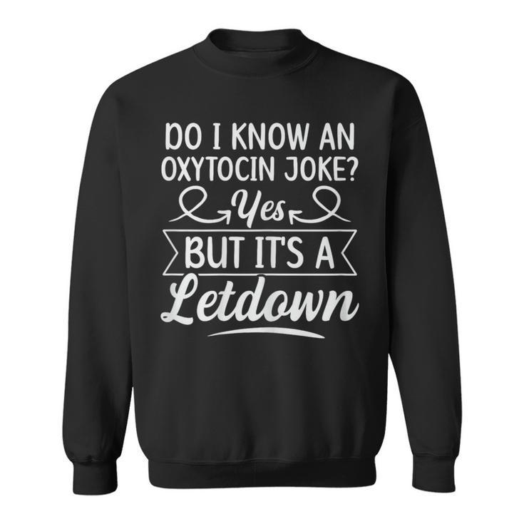 Ibclc Lactation Consultant For A Lactation Consultant Sweatshirt