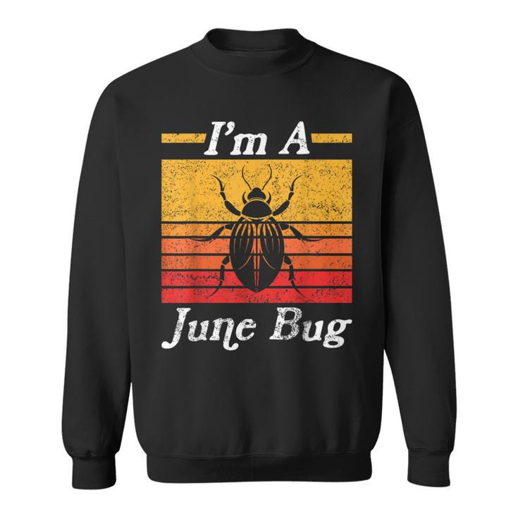 I'm A June Bug Vintage Style Insects Bug Retro Distressed Sweatshirt