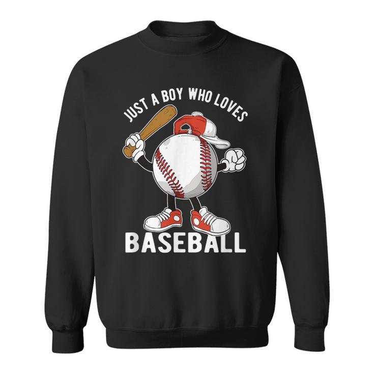 Just A Boy Who Loves Baseball Sweatshirt