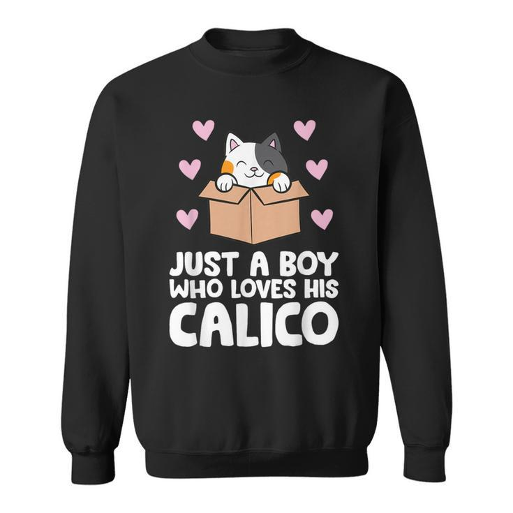 Just A Boy Who Loves His Calico Cat Sweatshirt