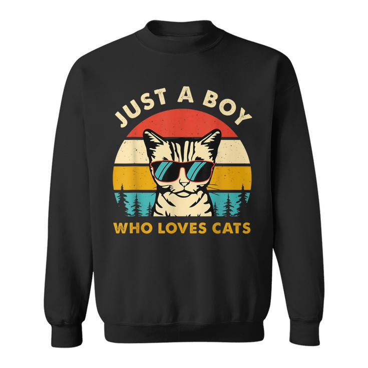 Just A Boy Who Loves Cats Themed Cat Owner Boy Kid Cat Lover Sweatshirt