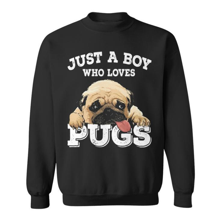 Just A Boy Who Loves Pugs Pug Lover For Boys Sweatshirt