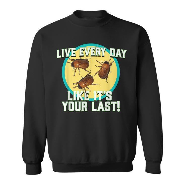 Live Everyday Like It's Your Last Summer June Bug Sweatshirt