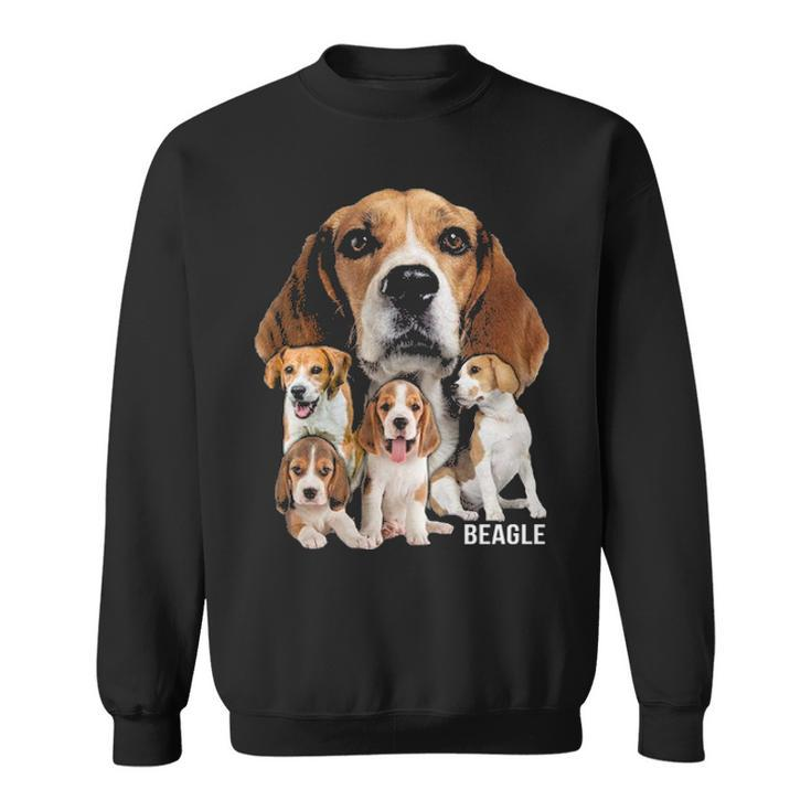 I Love My Beagle Dog Themed Beagle Lover Sweatshirt