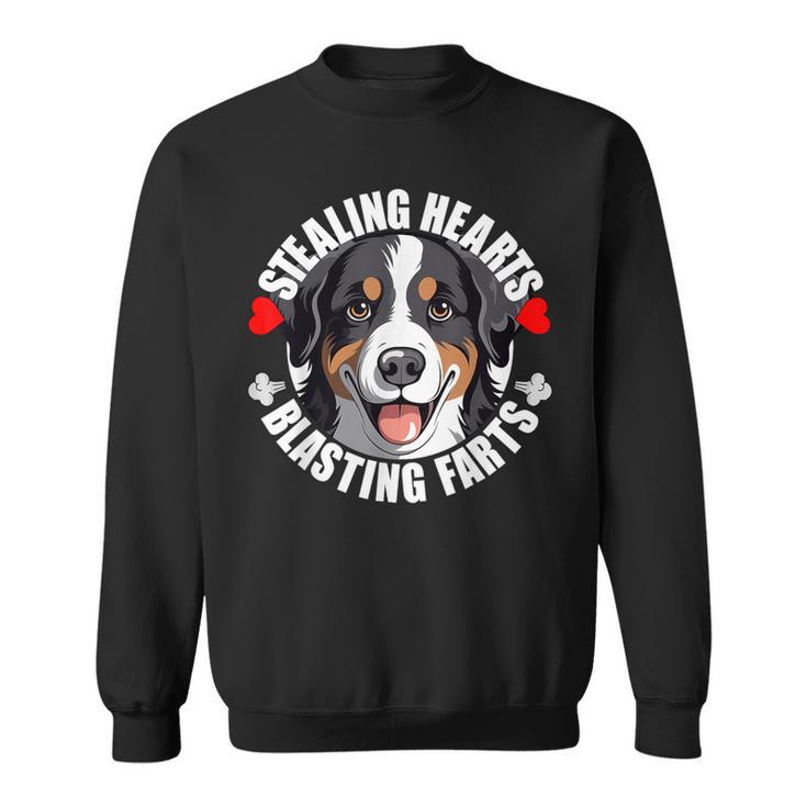 Lustiger Appenzeller Sennenhund Herzen Stehlen Sprengfurze Sweatshirt