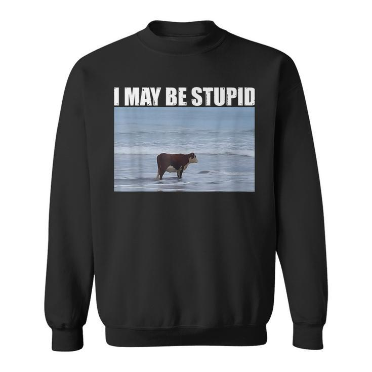 I May Be Stupid Cow Meme I May Be Stupid Sweatshirt
