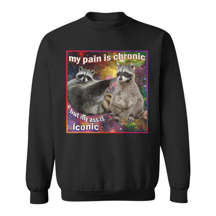 My Pain Is Chronic But My Ass Is Iconic Meme Raccoon Sweatshirt