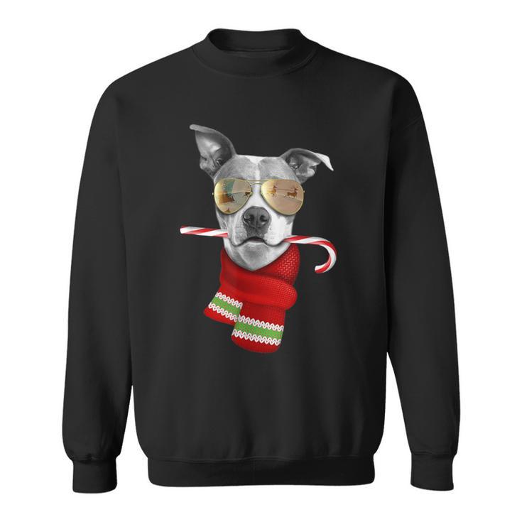 Pitt Bull Cute Christmas Dog Lovers Sunglasses Sweatshirt