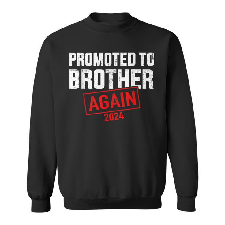 Promoted To Big Brother 2024 Again For New Baby Shower Sweatshirt