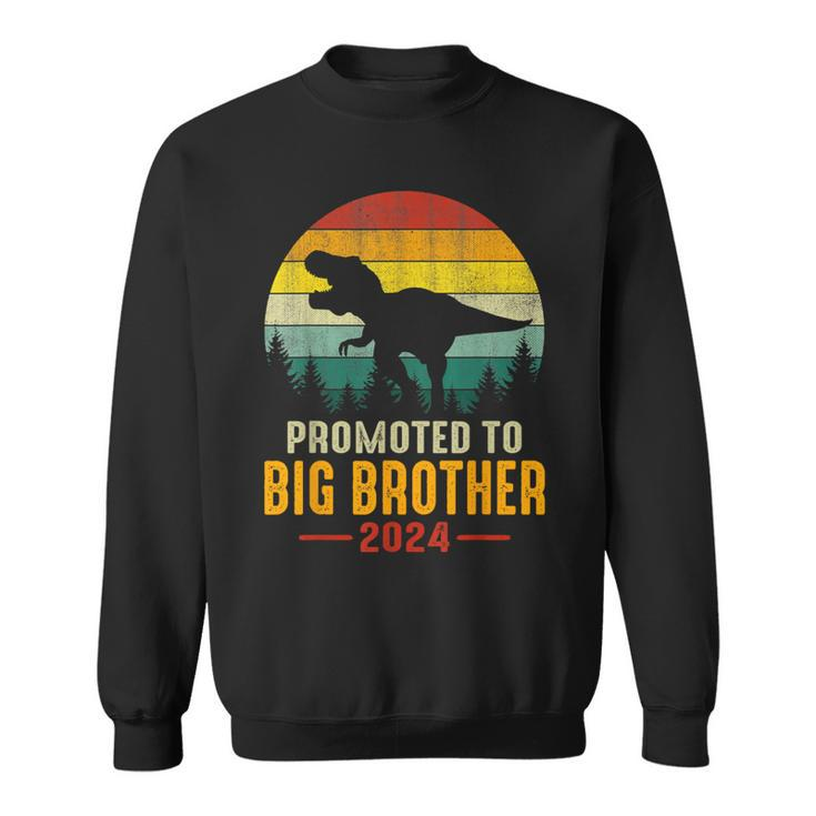 Promoted To Big Brother 2024 Dinosaur Family Matching T-Rex Sweatshirt