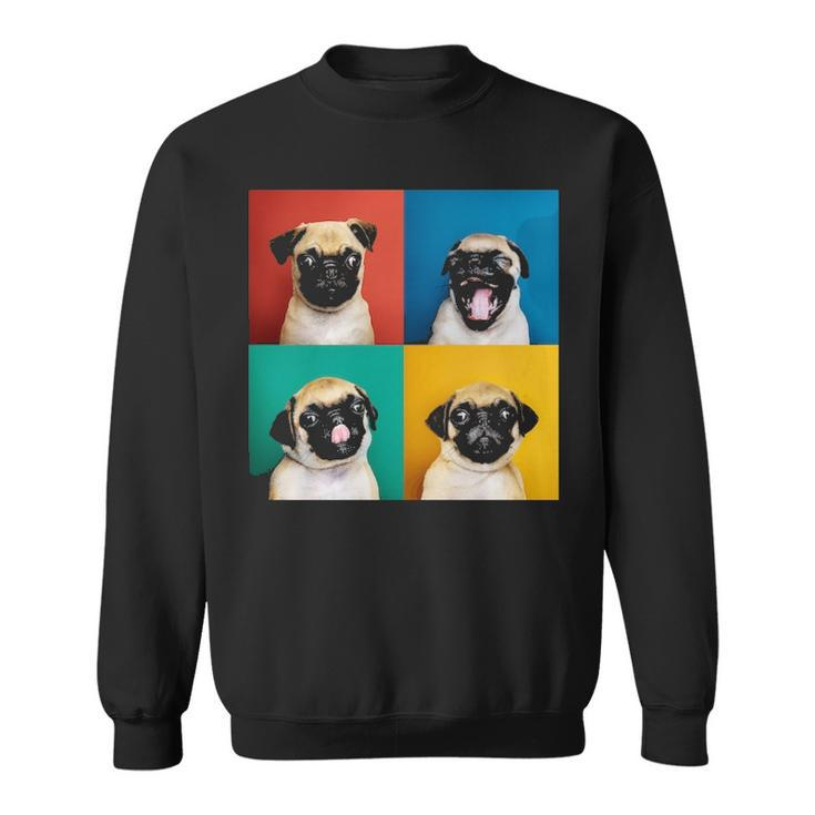 Pug Puppy Portrait Photos Carlino For Dog Lovers Sweatshirt