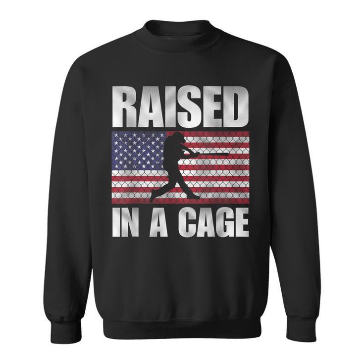 Raised In A Cage Joke Baseball Player Pitcher Flag Sweatshirt