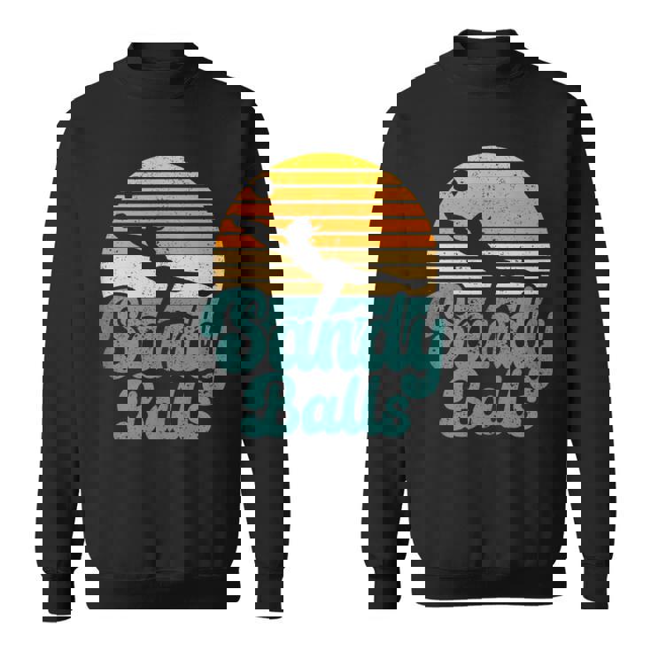 Sandy Balls Beach Volleyball Player Coach Fan Sports Sweatshirt