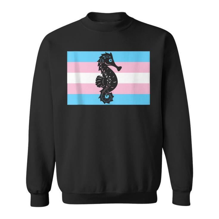 Seahorse Dad Pregnant Trans Man Sweatshirt