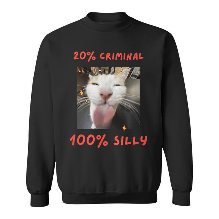 That Silly Cat Meme For The Internet Age Generation Sweatshirt