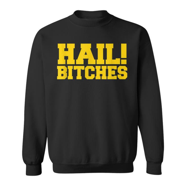 State Of Michigan Hail Bitches Ann Arbor Mi Fun Adult Sweatshirt