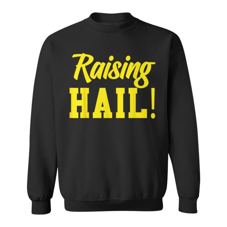 State Of Michigan Raising Hail U M Ann Arbor Mi Aa Sweatshirt