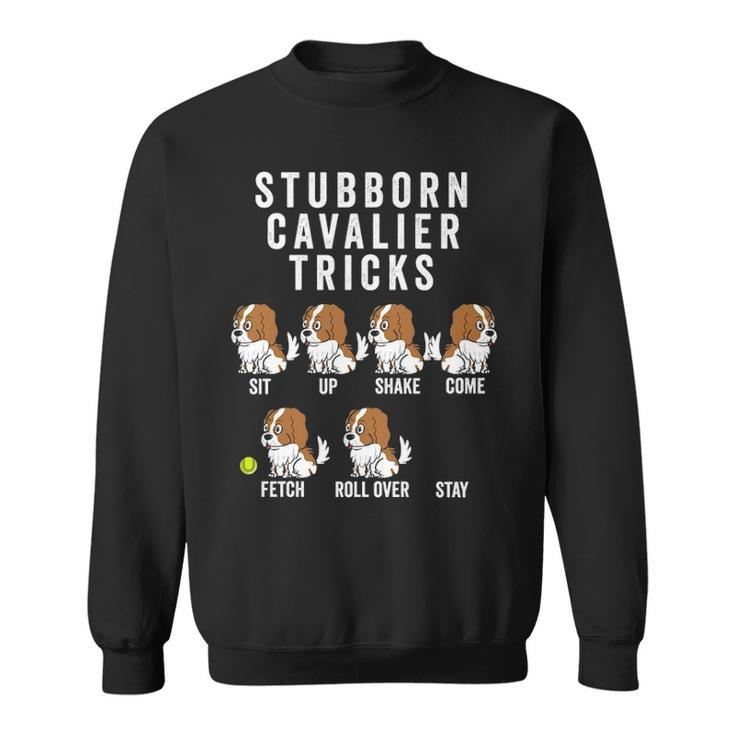 Stubborn Trick Cavalier King Charles Spaniel Dog Sweatshirt