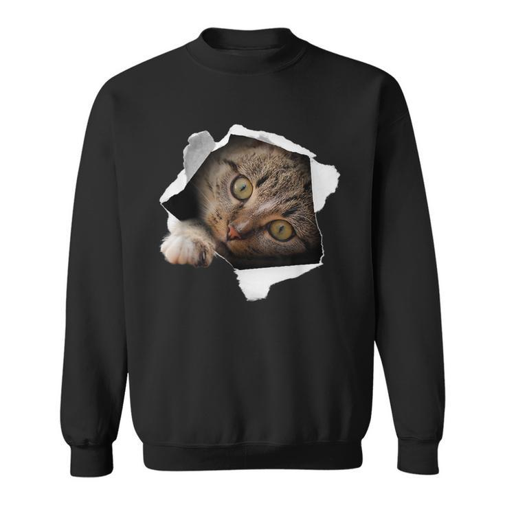 Stunning Tabby Cat Torn Cloth Cat Lovers Kitten Sweatshirt