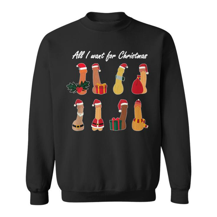 Ugly Christmas Dirty Christmas X-Mas Pride All I Want Sweatshirt