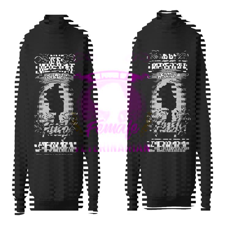 Never Underestimate The Power Of A Female Veterinarian Sweatshirt