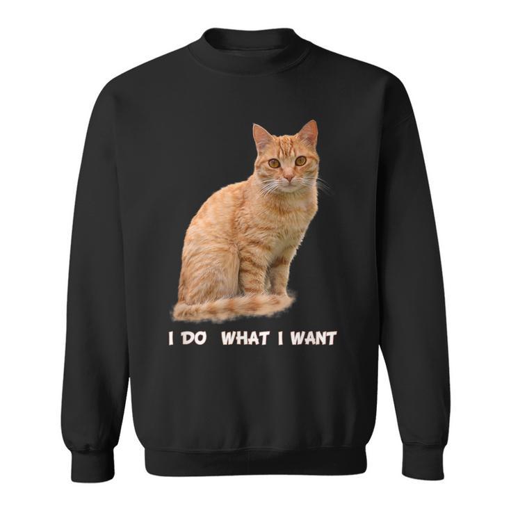 I Do What I Want Orange Tabby Cat Lovers Sweatshirt