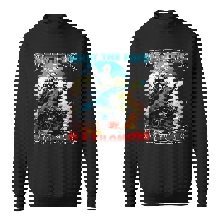 Wtf What The Fuck Is A Kilometer George Washington July 4Th Sweatshirt