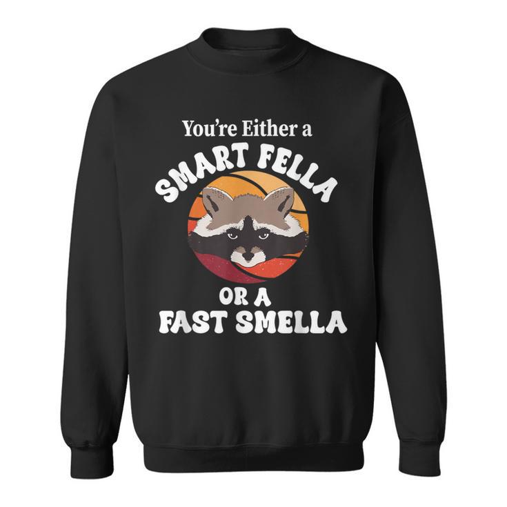 You're Either A Smart Fella Or A Fart Smella Racoon Meme Sweatshirt