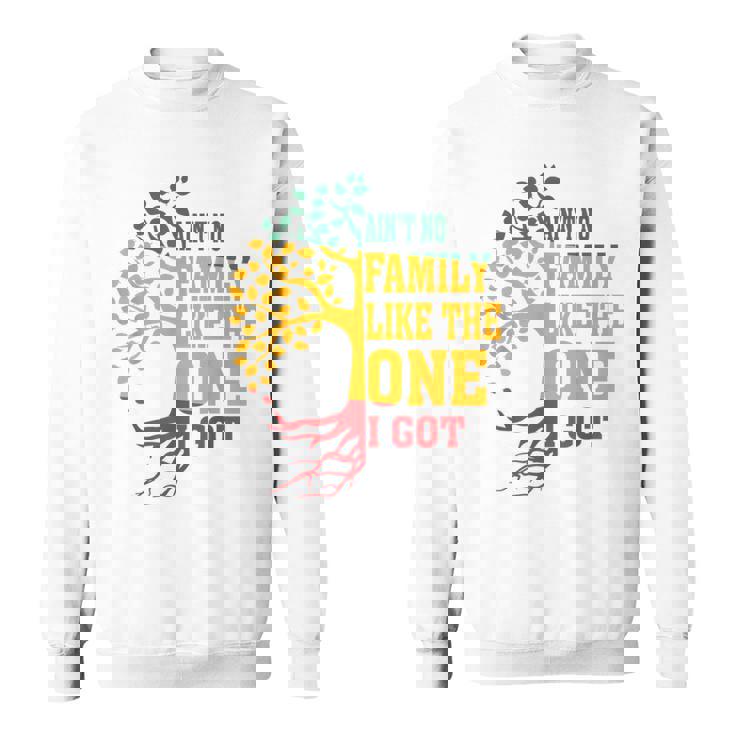 Ain't No Family Like The One I Got Family Reunion 2024 Sweatshirt