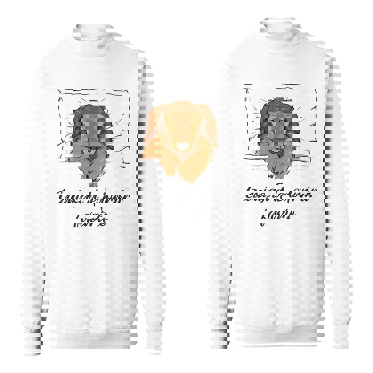 Camisa De Dormir Perro Pijama Perro Salchicha Camisa de entrenamiento