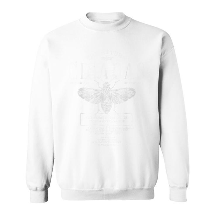 Cicada Summer 2024 Appearance Vintage Sweatshirt