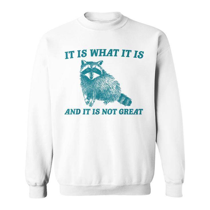 It Is What It Is And It Is Not Great Raccoon Sweatshirt