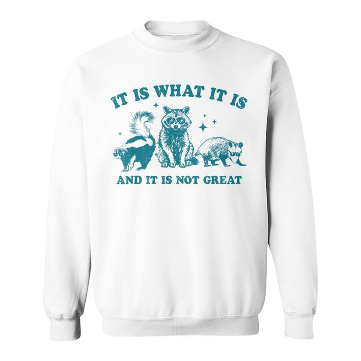 It Is What It Is And It Is Not Great Raccoon Trash Panda Sweatshirt