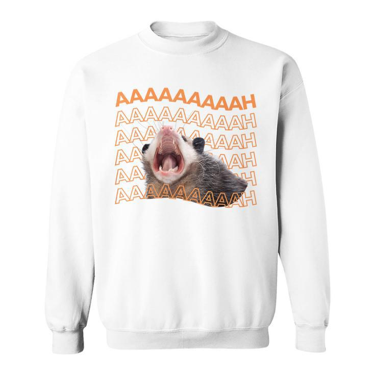 Opossum Screaming Possum Trash Cat Meme Women Sweatshirt