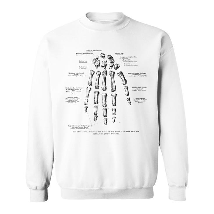 Vintage Anatomy Bones Of The Right Hand Sweatshirt