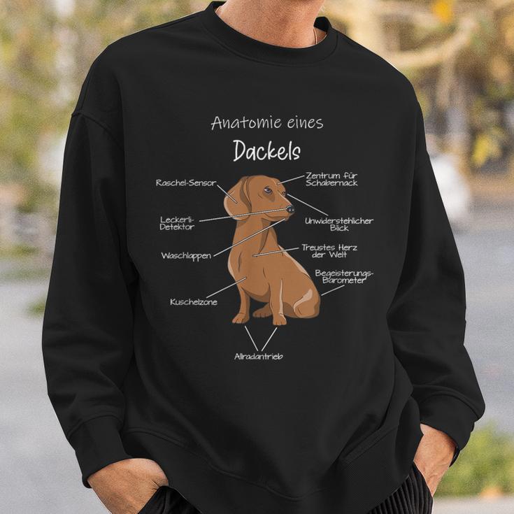 Anatomy Of A Dachshund Badger Dog Sweatshirt Geschenke für Ihn