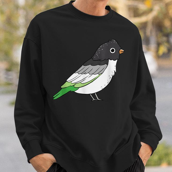 Aromantic Pride Bird Asexual Sweatshirt Gifts for Him