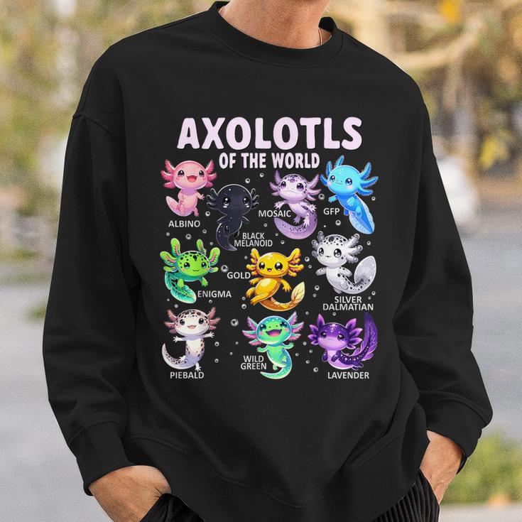 Axolotl Kawaii Axolotls Of The World Axolotl Animals Sweatshirt Gifts for Him